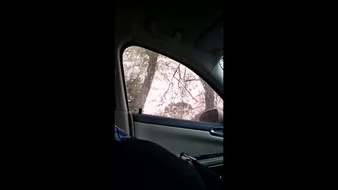 jgthagr8 online show from March 2026 01:28:01 PM