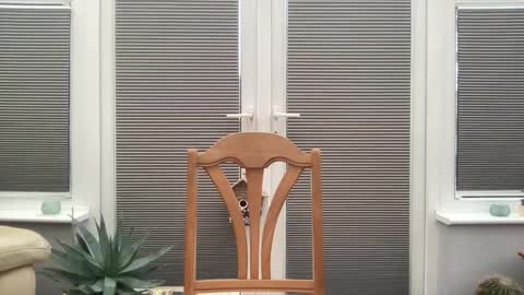 Snapshot of jiggz1986 chatting on February 2025 03:53:01 PM Jigz1986 online show from February 2025 03:53:01 PM