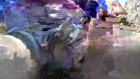 Snapshot of jimii281 chatting on January 2026 09:53:02 PM jimii281 online show from January 2026 09:53:02 PM