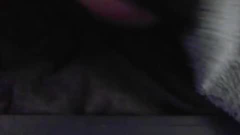 JimmyC online show from May 2026 06:33:01 AM