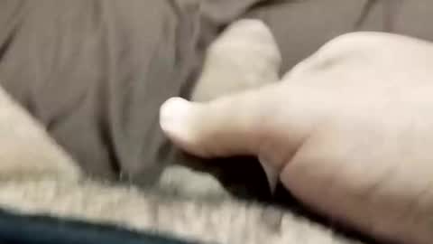 jj3377 online show from October 2025 06:08:01 AM