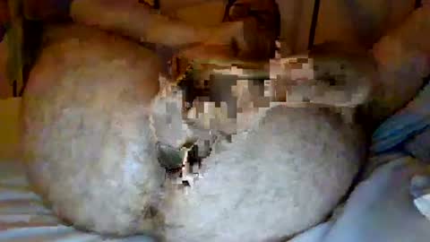 jjhot902921 online show from June 2026 02:44:01 AM