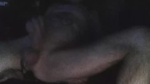 Snapshot of jjohnathan529 chatting on February 2025 07:11:02 AM jjohnathan529 online show from February 2025 07:11:02 AM