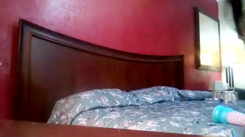 Snapshot of jmbaby chatting on December 2024 02:59:01 PM jmbaby online show from December 2024 02:59:01 PM
