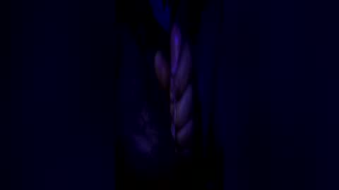 Snapshot of johnbruce23 chatting on June 2026 11:37:01 AM johnbruce23 online show from June 2026 11:37:01 AM