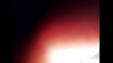 Snapshot of johnlong25cm chatting on December 2024 09:28:02 AM johnlong25cm online show from December 2024 09:28:02 AM