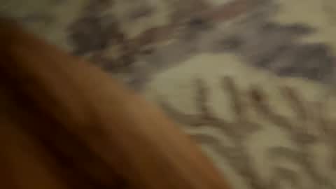 johnny235813 online show from September 2025 03:52:01 AM