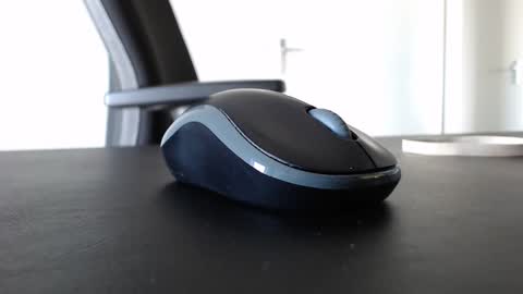 Johnny Walker13 online show from February 2025 11:54:02 AM