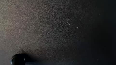 johnnyrotten44 online show from January 2025 03:37:01 PM