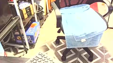 johnnytwain online show from January 2026 09:51:02 PM