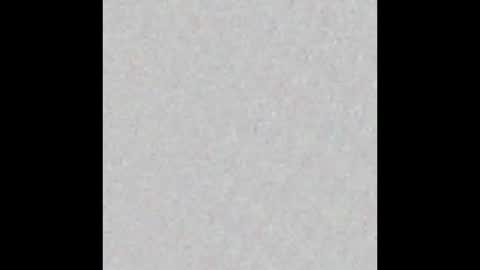 Jolene online show from February 2026 09:30:01 AM