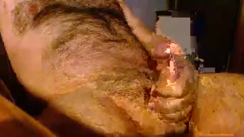 jolieeeeh online show from November 2025 12:41:02 PM