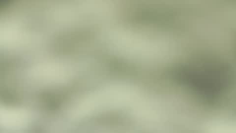 Jorge San online show from March 2025 09:36:02 PM