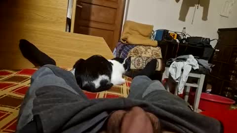 joyboy465468 online show from October 2025 04:02:02 PM