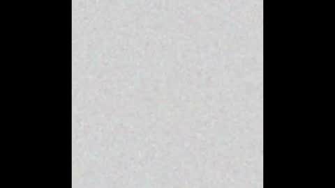 Joyce online show from January 2025 12:50:01 PM