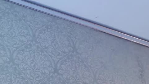 Snapshot of juanita_salv chatting on February 2026 05:52:01 PM juanita online show from February 2026 05:52:01 PM