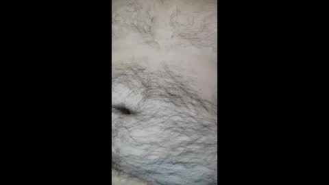 juegopromax707909 online show from April 2026 11:08:02 AM