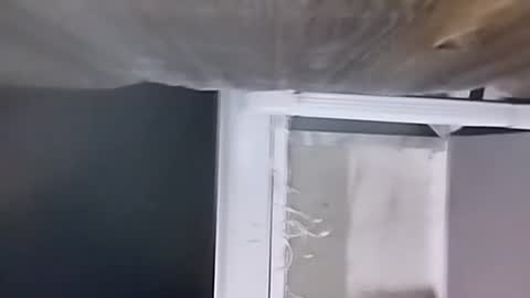 Snapshot of jugg3 chatting on December 2024 02:34:02 AM Carlos online show from December 2024 02:34:02 AM