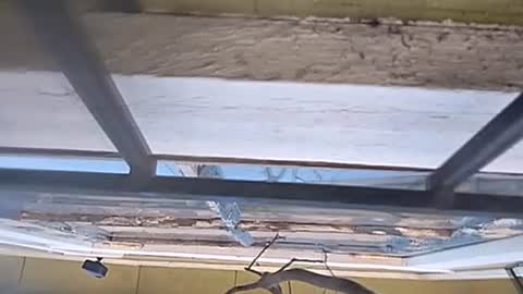 Snapshot of jugg3 chatting on January 2025 07:31:02 PM Carlos online show from January 2025 07:31:02 PM