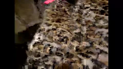 juicyslutx online show from November 2025 07:07:02 PM