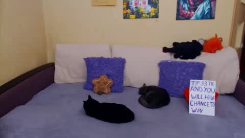 Jul online show from November 2025 11:20:01 AM