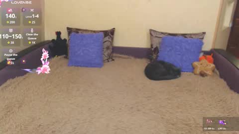 Jul online show from February 2026 10:19:02 AM