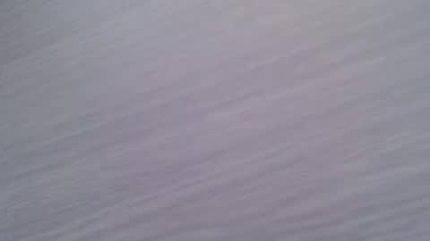 JuanAn online show from January 2026 11:57:02 AM