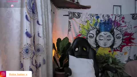 Snapshot of just_katiex chatting on February 2025 01:31:01 AM Sofia online show from February 2025 01:31:01 AM