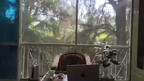 Snapshot of just_place chatting on December 2025 06:19:02 AM just_place online show from December 2025 06:19:02 AM