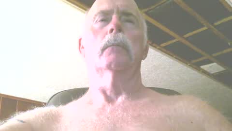 justdon online show from July 2026 03:29:02 PM