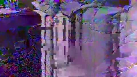 Techno Nymph online show from February 2026 03:49:02 AM