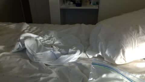 Snapshot of jwill10000 chatting on January 2025 11:37:02 AM J and Sugar snap pea online show from January 2025 11:37:02 AM