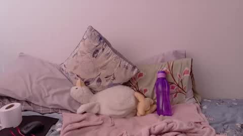 Snapshot of kad_kad chatting on February 2026 03:16:01 PM Kanela online show from February 2026 03:16:01 PM