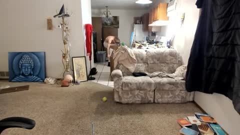 Kaiku77 online show from November 2025 05:44:01 AM