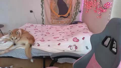 Kessy online show from March 2026 06:41:02 AM