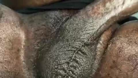 Snapshot of karadi5 chatting on December 2024 09:40:02 AM Snookie online show from December 2024 09:40:02 AM