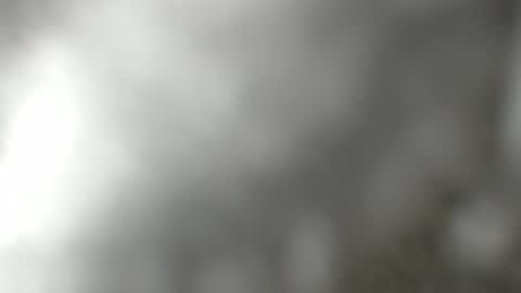 Karin online show from January 2025 11:12:02 AM