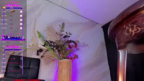 Snapshot of karlaebony_ts chatting on October 2025 01:53:02 PM KARLA online show from October 2025 01:53:02 PM