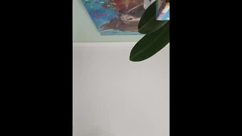 karnathra online show from April 2026 03:50:02 PM