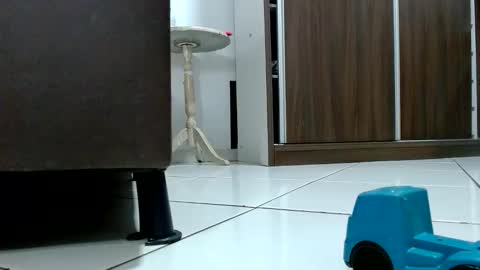 Tamires e Maicon online show from October 2025 08:29:02 PM