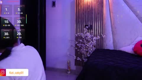 Snapshot of kat_saky chatting on May 2026 11:20:01 PM Saky online show from May 2026 11:20:01 PM