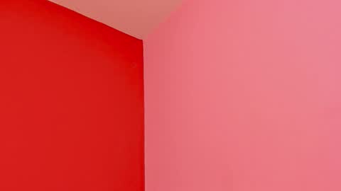 Kate  online show from February 2026 11:31:01 AM