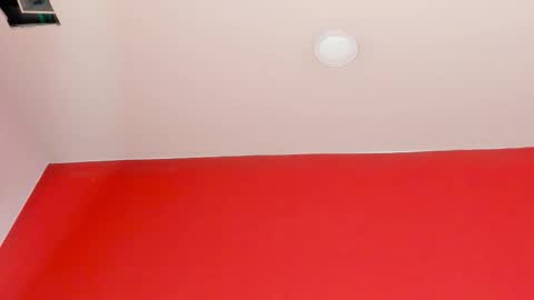 Kate  online show from February 2026 10:35:01 AM