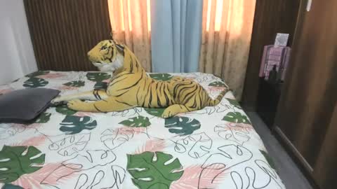 Snapshot of katerinamilf_ chatting on June 2026 12:36:01 PM kata online show from June 2026 12:36:01 PM