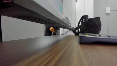   online show from November 2025 11:21:02 AM