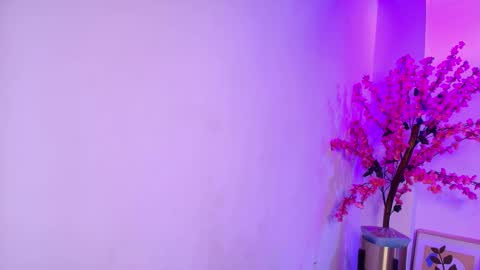 Katrina online show from December 2025 07:53:02 PM