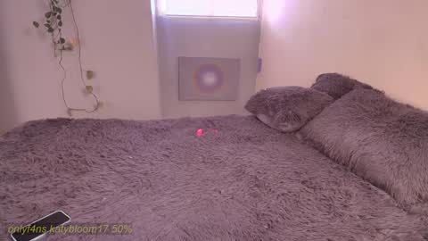    online show from February 2026 04:08:01 PM