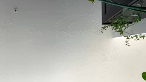 keepquietj online show from January 2025 07:38:01 PM