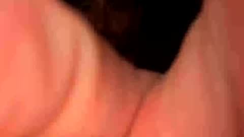 keepquietj online show from January 2025 05:26:02 AM