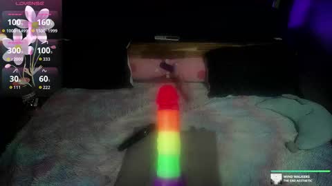 Kelly online show from November 2025 05:39:02 AM